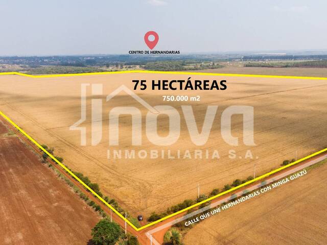 #146 - Quinta para Venta en Hernandarias - PY-10 - 2