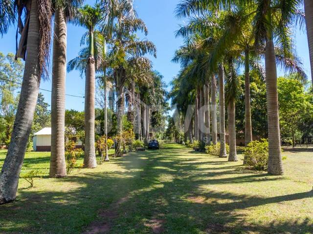 #263 - Granja Finca para Venta en Juan E. Oleary - PY-10 - 3